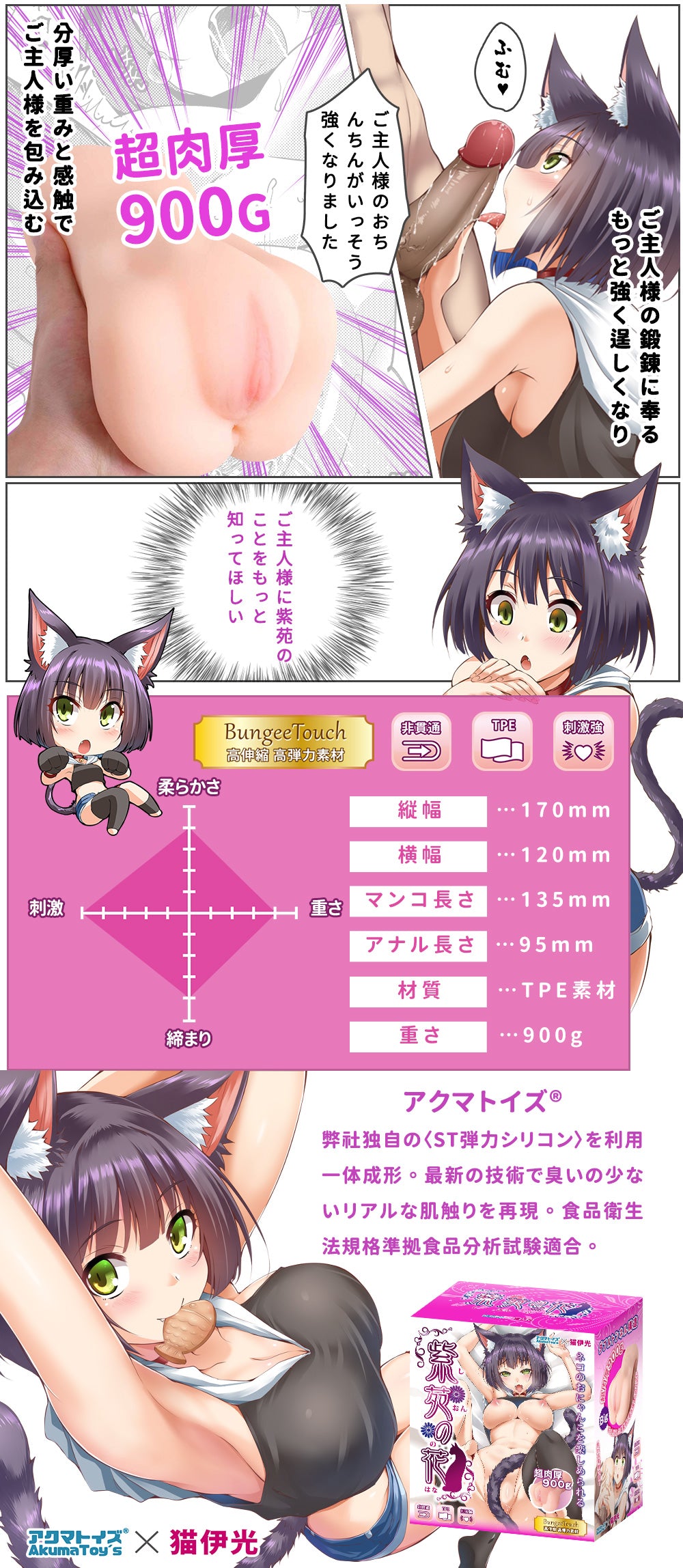 Aster Flower the Cute Cat Girl